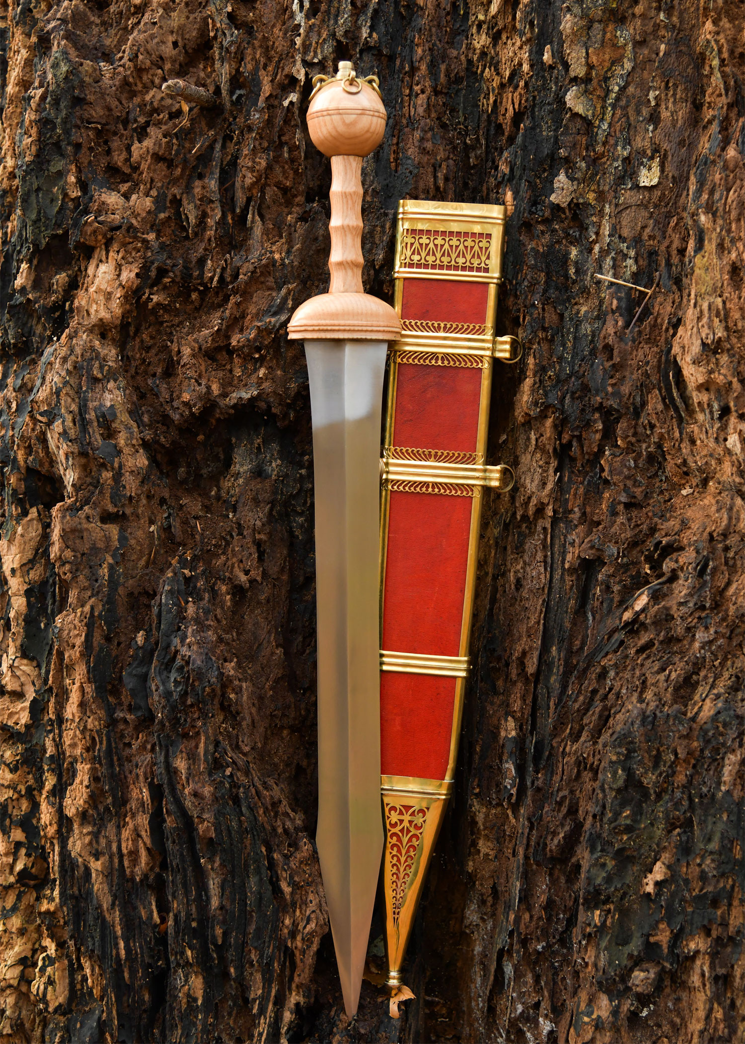 ?psc proxy image=1&product id=31637&image id=107619 - Gladius Sword: The Short Blade That Forged the Roman Legions