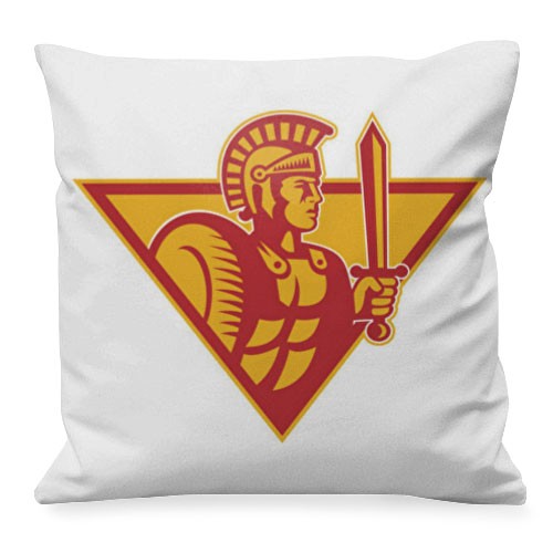 Roman Legion soldier cushion