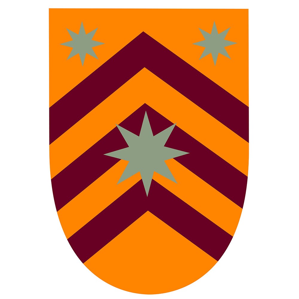 Medieval banner Stars on bars