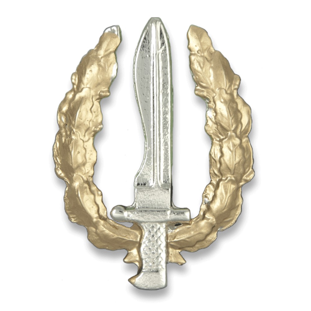 GOE operations permanence badge