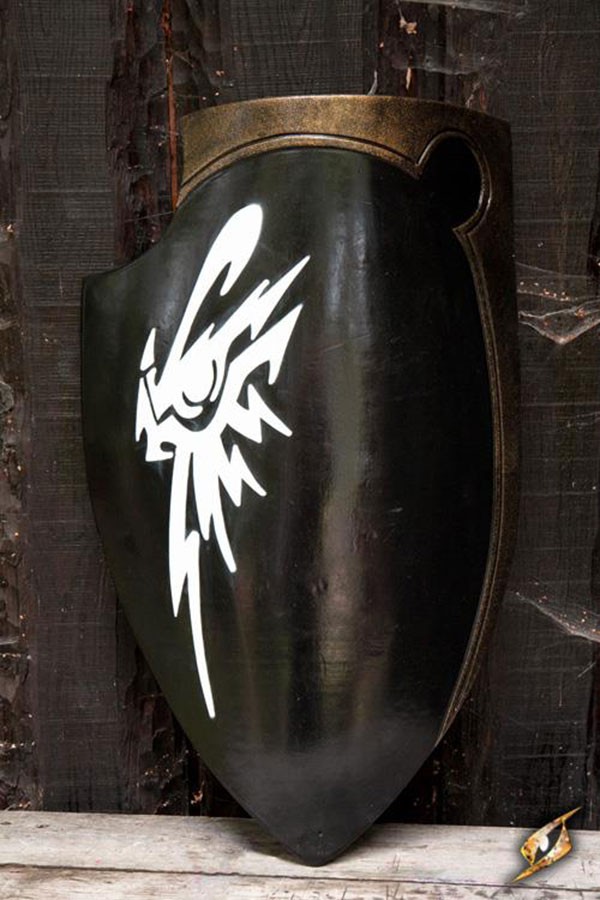 ?psc proxy image=1&product id=10061&image id=26980 - Historical Shields: More than Simple Defense, a Legacy of Protection and Power