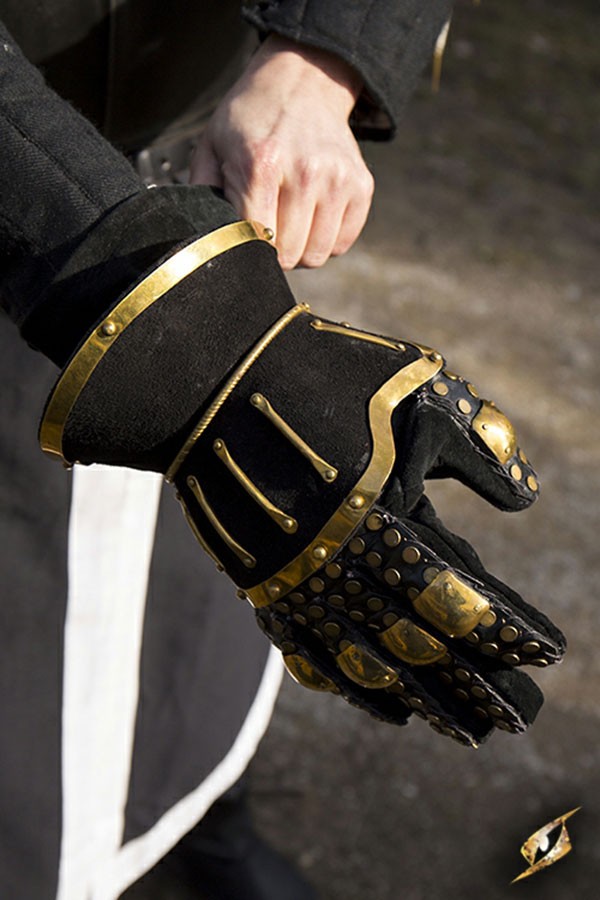 ?psc proxy image=1&product id=10789&image id=28912 - Gauntlets, Mittens, and Armor: The History, Technique, and Legacy of Medieval Protection
