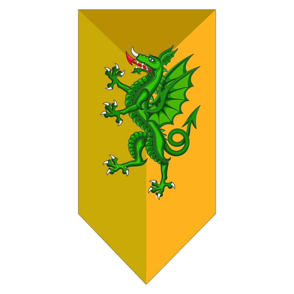 Banner Medieval Green Dragon