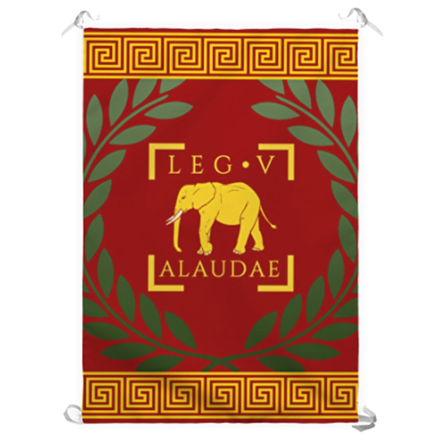 ?psc proxy image=1&product id=8049&image id=31708 - Roman Standards: The Symbolic and Tactical Pillars of Military Power