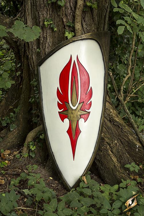 ?psc proxy image=1&product id=13554&image id=37050 - Functional Medieval Shields: History, Design, and Practical Guide for Recreation