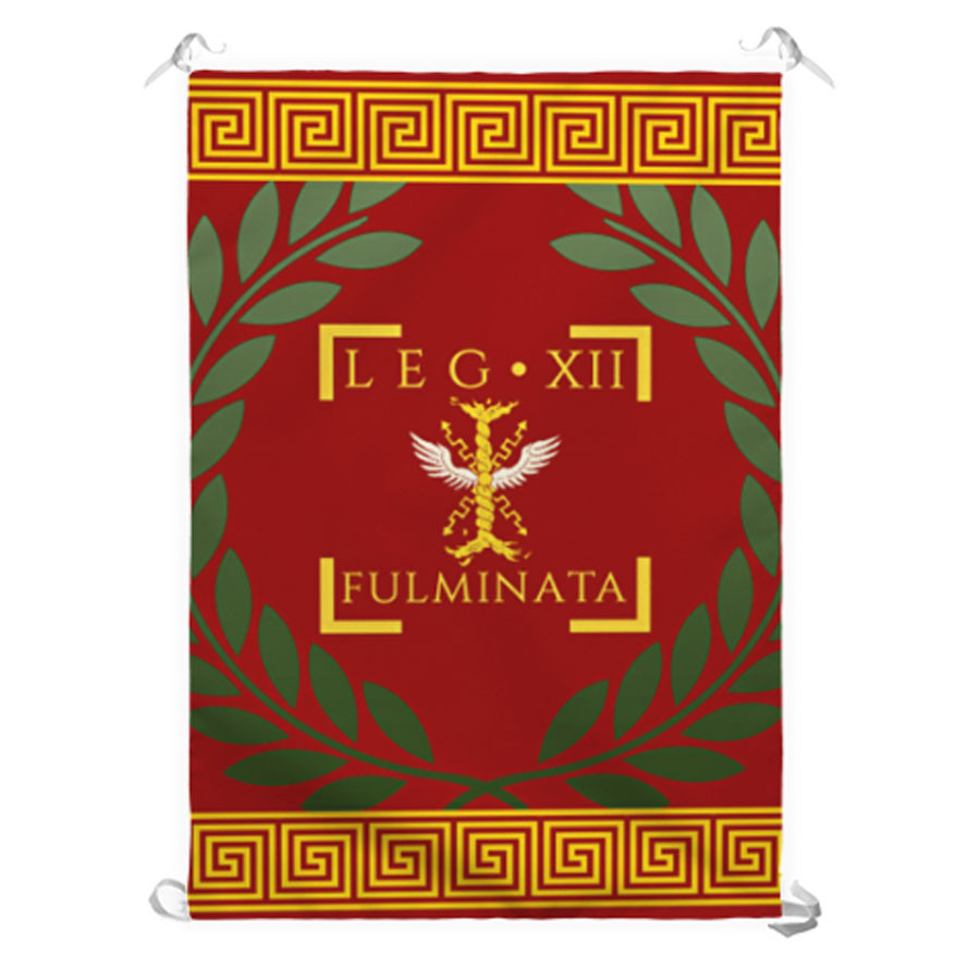?psc proxy image=1&product id=14083&image id=39068 - Roman Standards: The Symbolic and Tactical Pillars of Military Power