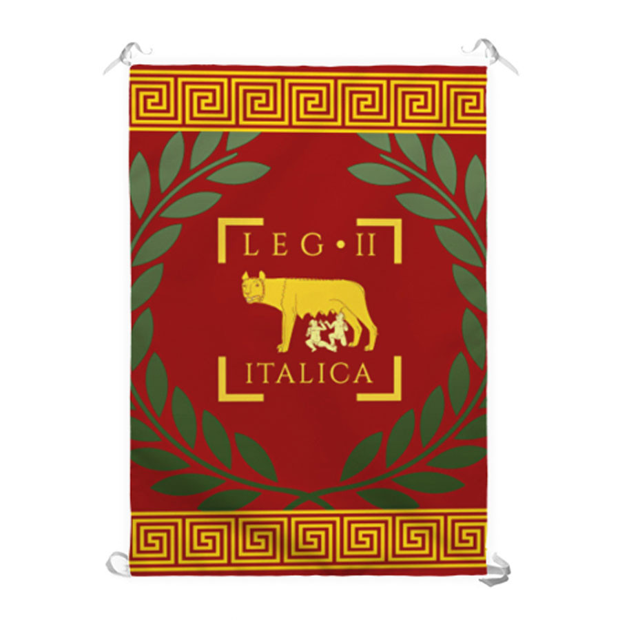 ?psc proxy image=1&product id=14108&image id=39134 - Structure and Hierarchy of the Roman Army: How Rome's War Machine Was Organized