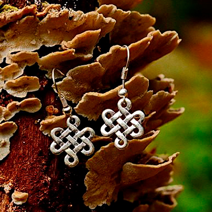 ?psc proxy image=1&product id=16011&image id=45962 - Medieval Earrings: History, Materials, and Symbols that Tell the Middle Ages