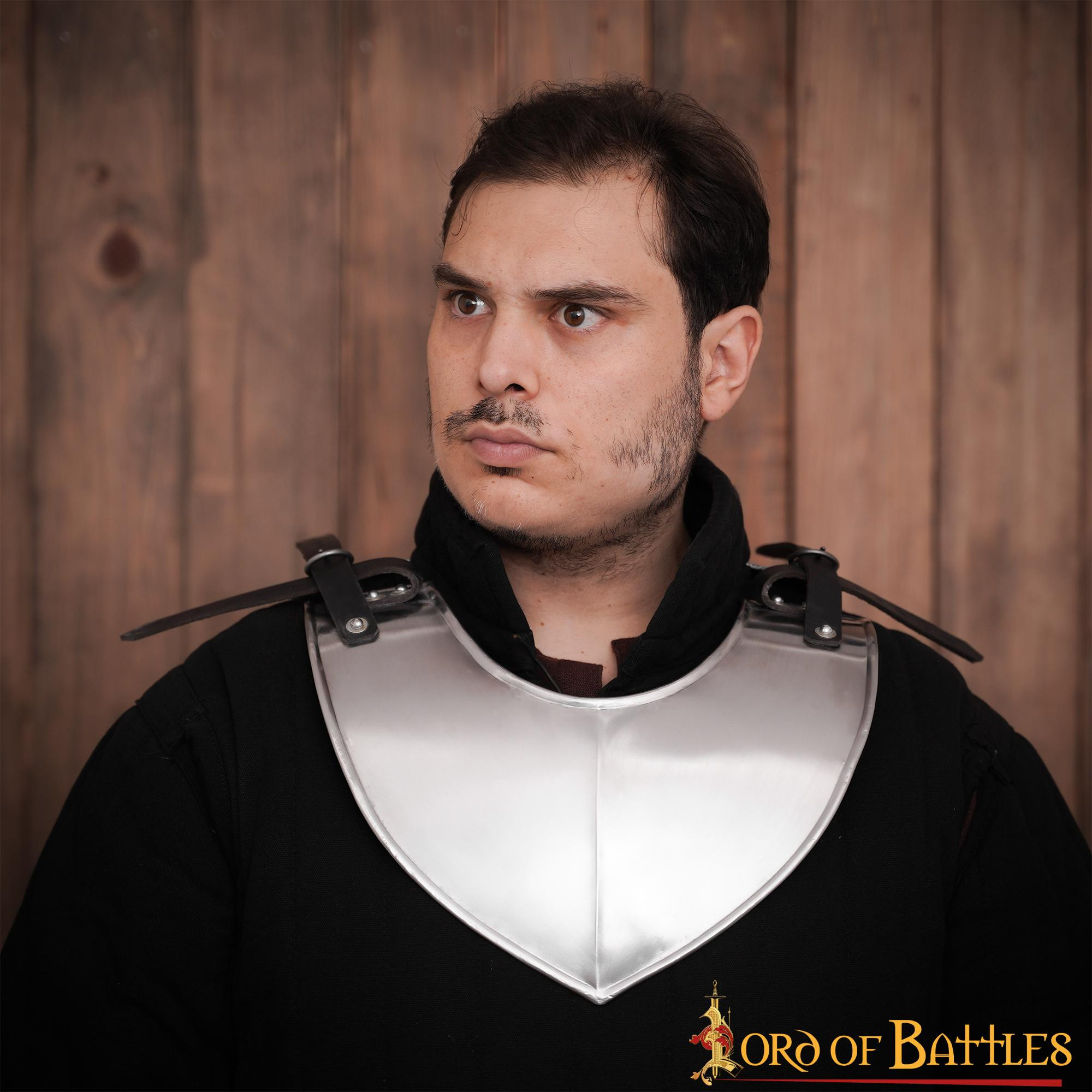 Classic medieval steel gorget