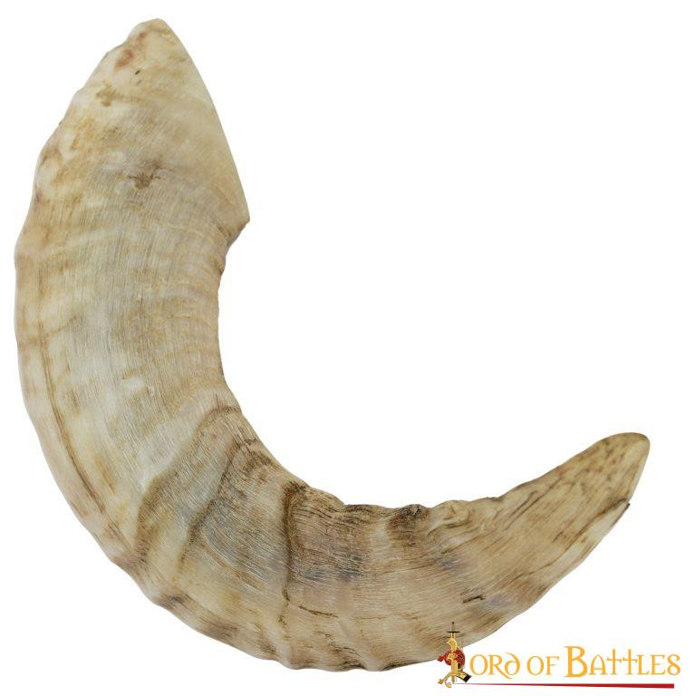 ?psc proxy image=1&product id=17009&image id=51220 - Viking Horns: History, Symbolism, and How to Choose Yours