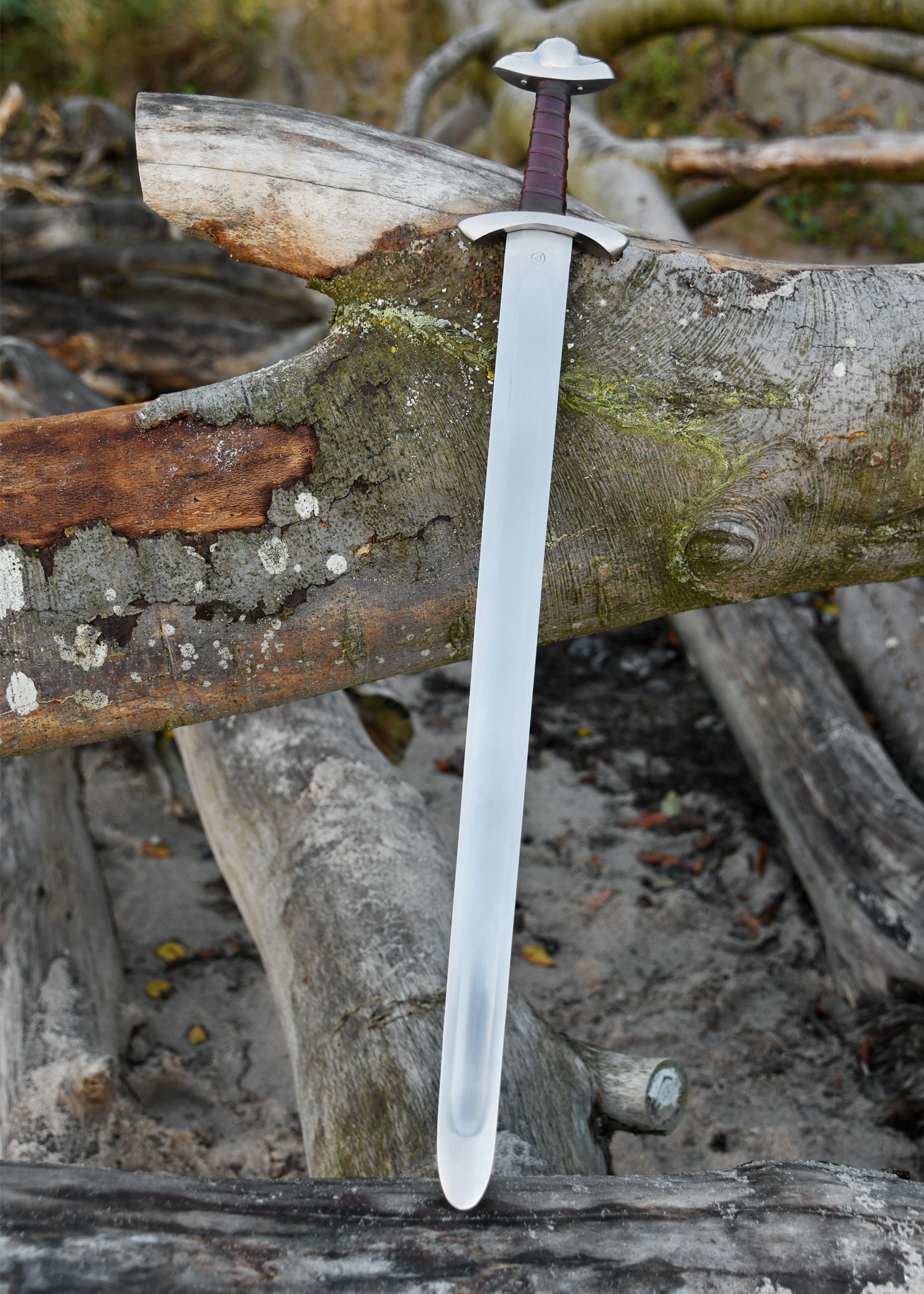 ?psc proxy image=1&product id=24703&image id=75042 - Swords of Sutton Hoo: forge, mystery, and the legacy of a royal sword
