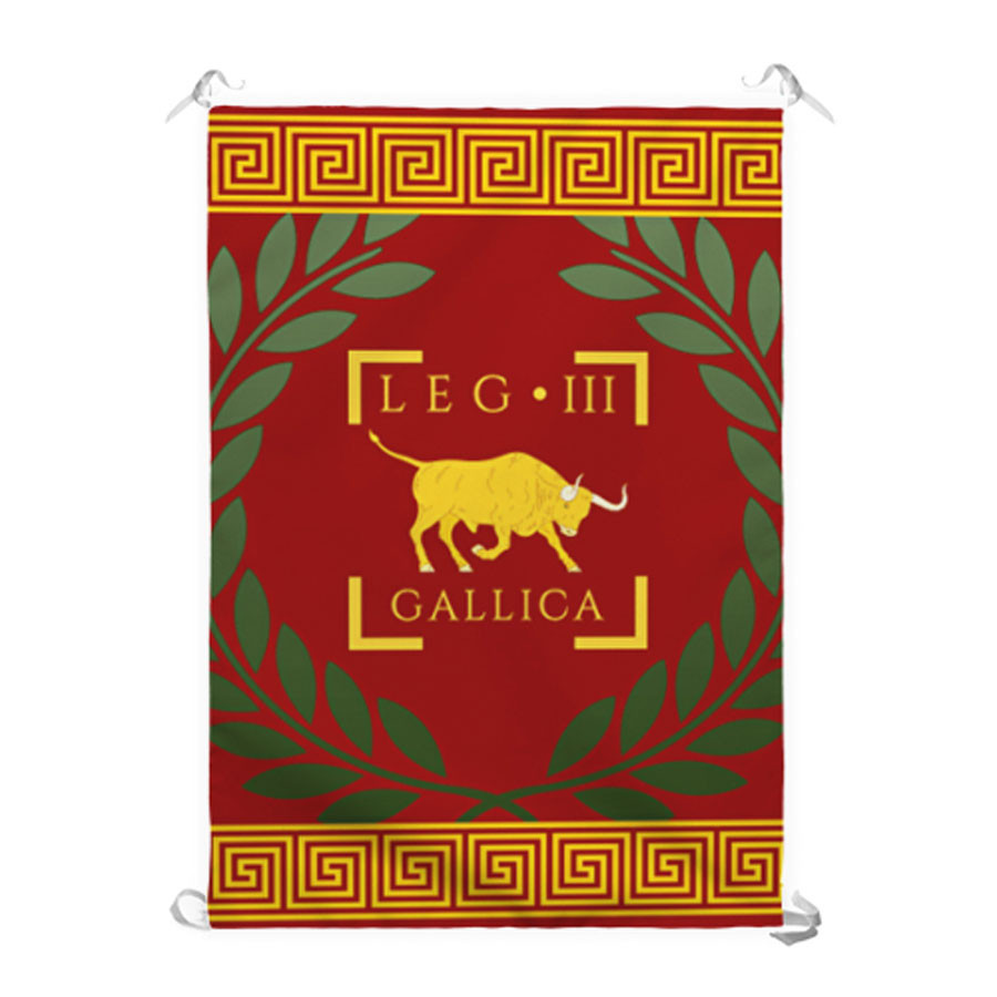 ?psc proxy image=1&product id=14103&image id=79688 - Roman Standards: The Symbolic and Tactical Pillars of Military Power