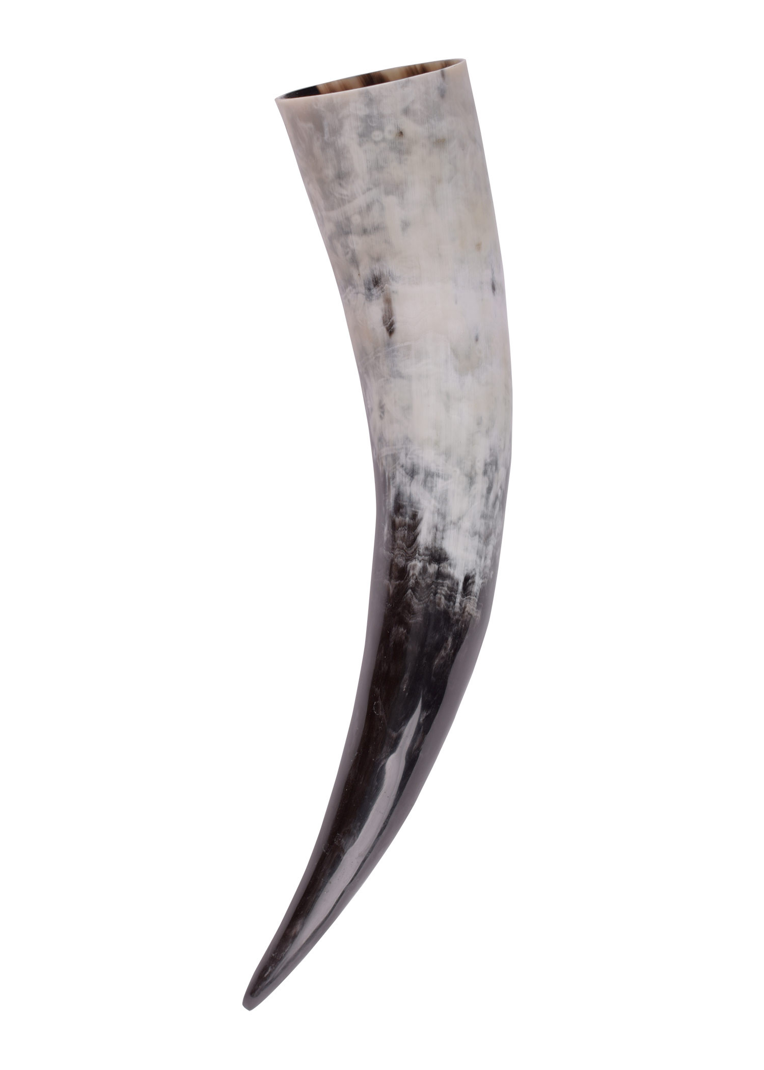 ?psc proxy image=1&product id=26577&image id=85075 - Viking Horns: History, Symbolism, and How to Choose Yours