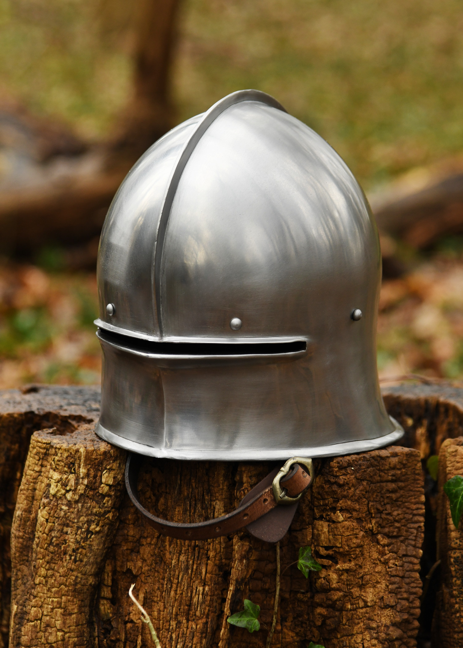 ?psc proxy image=1&product id=30103&image id=99818 - Templar and Crusader Helmets: Historical Guide, Types, Replicas and Use in Reenactment