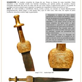 descubre la espada de guadalajara un tesoro de la edad del bronce 1739806859 275x275 - Antennae Sword of the Vetton Culture: A Historical Treasure