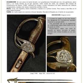 sargento de carabineros del reino modelo 1876 jpg 1749856170 1749856444 275x275 - Sanitary Saber 1886: Elegance and Military Quality
